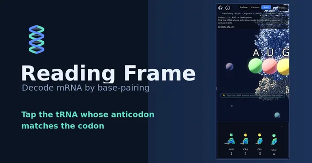 阅读框架 / Reading Frame