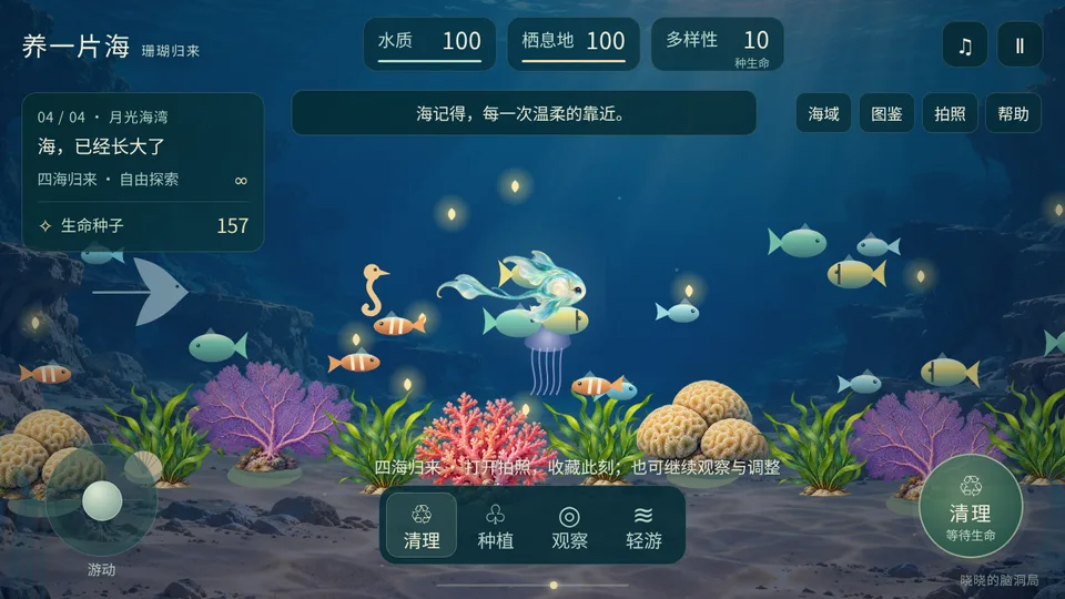 养一片海：珊瑚归来