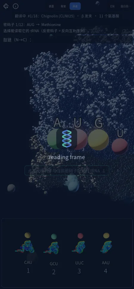 阅读框架 / Reading Frame · 截图 1